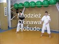 okinawa kobudo