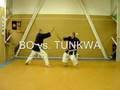 okinawa kobudo