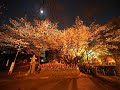 Nujabes and Shing02 Luv Sic pt.1 Remix