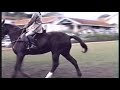 Reprise Boa Esperança