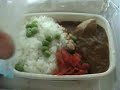 Dos frikis en Japon Capitulo 1 (parte 2)