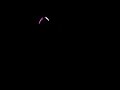 Fire Spinning and breathing