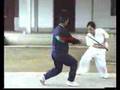 CHINESE kongfu 洪敦品 螳螂拳 武当 少林 Tanglang Wushu GongFu 武术 功夫