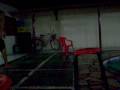 videos de Reveillon 092