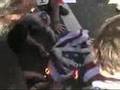Protest-Action-on-Co