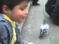 Las Palomas ^^ Las Palomas ^^