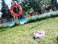 Relax en la piscina