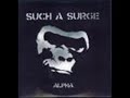 Such a Surge -T'as perdu