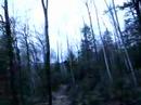 Ziplining Clip 17