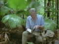 videos de Sir. David Attenborough reads from Alfred Russel Wallace
