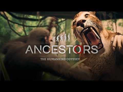 Vidéo 1