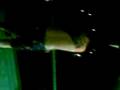 videos de my brother.3gp