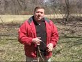 Dog Training - The Secret To Loose Leash Walking