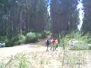 civic b16a1 rally concepcion 