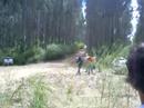 civic b16a1 rally concepcion 