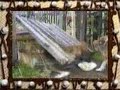 Perro comida