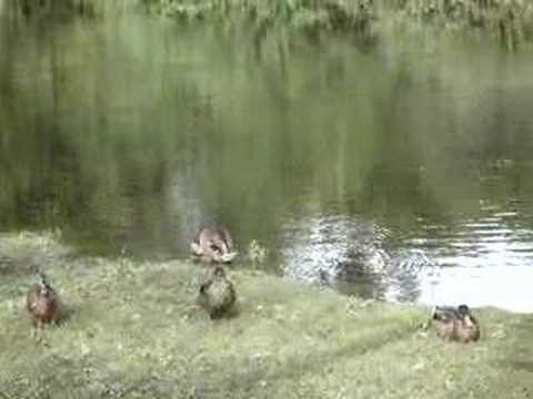 University Park - Oxford