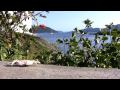 The San Juan Islands Crab Chronicles - YouTube