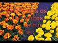 Amor não correspondido Amor não correspondido