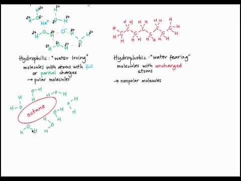 how to dissolve hydrophobic amino acids