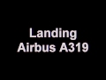 Landing Airbus A319 British Airways Brussels Airport