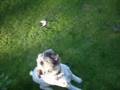 videos de Starring Haley! song: RJA - Your Guardian Angel