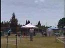 Voucher at the USDAA Northwest Regional
