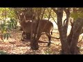 Decouvrir le Senegal