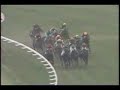 broadappeal@Silk Roads stakes broadappeal@Silk Roads stakes