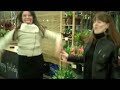 New Seasons grocery dance
