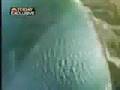 Skydiver survives 5000 feett free fall