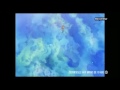 One piece g&Atilde;&copy;n&Atilde;&copy;rique 5 (perso on kiff)