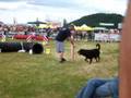 u'turn et florian jumping