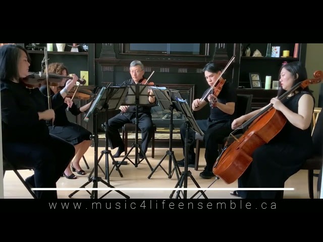 Live String music for your Wedding or Special Event in Artists & Musicians in Oshawa / Durham Region
