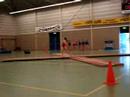tineke postma