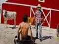 Jackass remastered