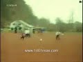 Tontos de remate