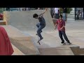 Dog pulling Skateboard HD