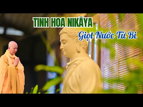 Tinh Hoa NIKAYA - Giọt Nước Từ Bi