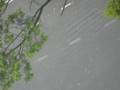 videos de Ho Chi Minh City storm (2)