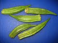 Keith's Garden - Huerta
