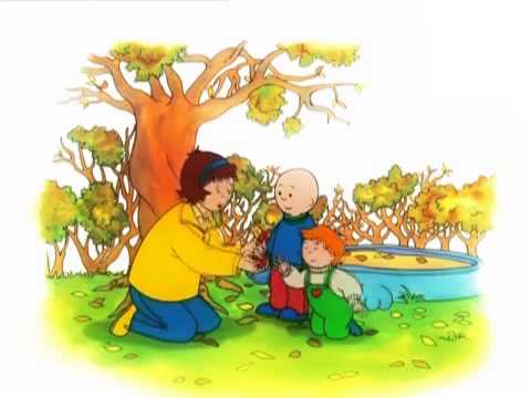 Caillou - DvD14 Español - Dibujos infantiles