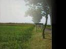 Schiermonnikoog panorama