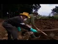 Feminicidios en Guatemala
