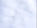MOV00029