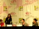 terminator: the sarah connor chronicles panel with summer glau, thomas dekker, brian austin green and executives producer and writers.....