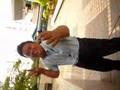 stylo mylo
