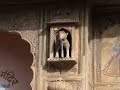 India(IV): Havelis in Nawalgarh and Fatehpur.Fort in Bikaner India(IV): Havelis in Nawalgarh and Fatehpur.Fort in Bikaner