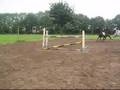 videos de zensation en ik!