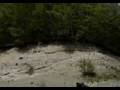 MOV01869.MPG